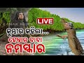 🔴 LIVE || ହେନ୍ତାଳ-କୁମ୍ଭୀର କଥାବାର୍ତ୍ତା || Kanak News