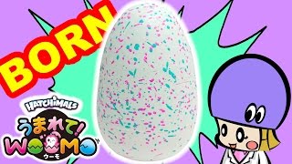 うまれて！ウーモ タマゴから生まれる世界初のペット！孵化させて育ててみた【サプライズトイ】Hatchimals