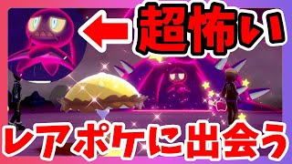 【ポケモンソードシールド】超恐ろしいレア巣のポケモン！？こんなに怖かったっけ？冠の雪原【エキスパンションパス】