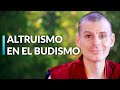 Meditación Paso a Paso | Lama Rinchen Gyaltsen [Sesión 5]