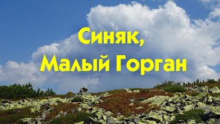 Однодневная прогулка на Синяк и Малый Горган из Буковели (июль 2021)