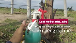 Mang lại lượng đàn nhanh hơn - cho những trại nui dơi mới #chuongnuidoi