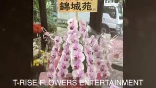 花屋まこと 開店御祝いの花 T-RISE FLOWERS ENTERTAINMENT