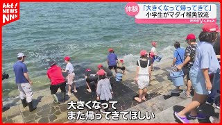 「元気に育って」子どもたちが地元特産のマダイの稚魚放流を体験