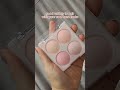 🤍dasique blush palettes🤍