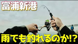 【雨の富浦新港】まだまだ渋くなんかない!!