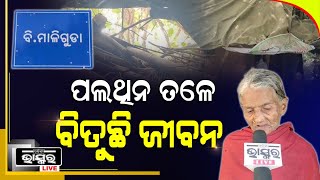 ଗରିବଙ୍କ ପାଇଁ ସରକାରଙ୍କ ମାଳମାଳ ଯୋଜନା ,ହେଲେ ଏବେବି ପଲିଥିନ ତଳେ ବିତୁଛି ଗରିବର ଜୀବନ