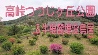 高峠つつじヶ丘公園と牛根麓（うしねふもと）荷神社の埋没鳥居