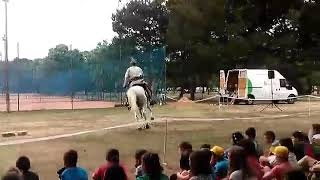 Lovasíjász bemutató / horseback archery show