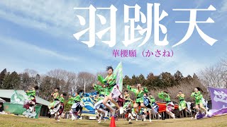 📍Cinema Size【４K60ｐ】羽跳天「華櫻願（かさね）」★第二回TOCHIGIよさこい/道の駅うつのみや/ろまんちっく村/サブ会場/2024.03.31/DJI Pocket3