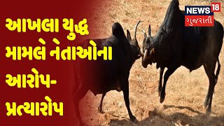 Morbi | આખલા યુદ્ધ મામલે નેતાઓના આરોપ-પ્રત્યારોપ | News18 Gujarati