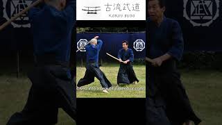 History of Traditional Japanese martial arts #kobujutsu  #bushido  #japanesemartialarts