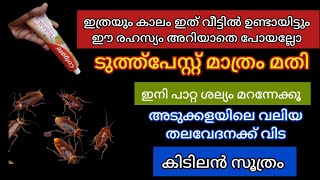 ടൂത്ത്പേസ്റ്റ് മതി ഇനി വീട്ടിൽ പാറ്റ ശല്യം ഉണ്ടാവില്ല //How to get rid cockroaches