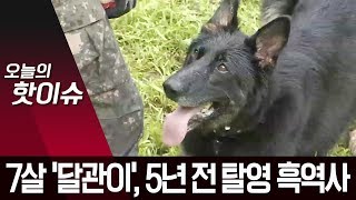 조은누리 양 수색 일등공신 7살 ‘달관이’…5년 전 탈영 흑역사 | 뉴스A