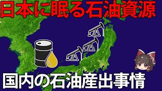 実は日本でも石油取れます。2025年現在の国内の石油事情について【ゆっくり解説】