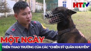 Trên thao trường huấn luyện chó nghiệp vụ | Hà Tĩnh TV