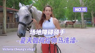 【张楚悦的VLOG】马术美少女•夏天如何给马儿洗澡