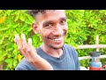 hamour fish giant kollam vlog ജീവിതത്തിൽ ആദ്യമായി കിട്ടിയ വലിയ hamour fish