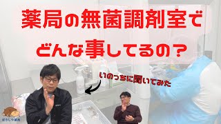 【薬局薬剤師】薬局の無菌調剤ってどんな感じなのかをいのっちに聞いてみた【ぼうしや薬局】