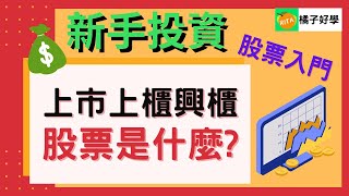 上市上櫃興櫃3種股票怎麼分？新手投資必學【Rita橘子姐的理法院】@RitaChang  #8