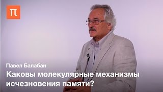 Модификация памяти — Павел Балабан