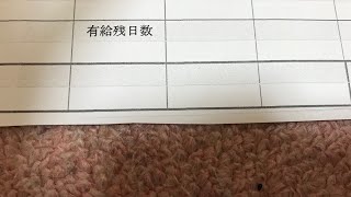 給与明細 アスレチックトレーナーの給料