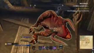 Twitch配信 [TESO日本語版] エボンハート冒険譚 LV22 アルゴニアン/ソーサラー [ESO_JP]