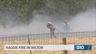 Haggie Fire burns 40+ acres in Wilton