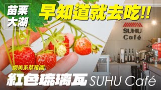 苗栗大湖｜網美系草莓園  紅色琉璃瓦\u0026 SUHU Café 【早知道就去吃】