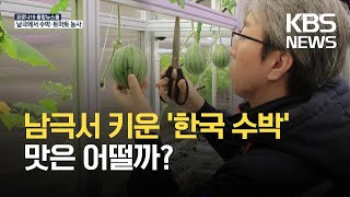 ‘남극에서 수박 농사를?’…남극세종기지서 열매채소 재배 / KBS 2021.09.02.