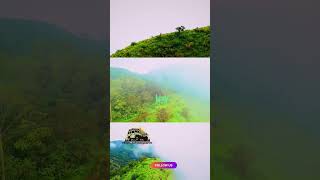 1 day trip to Kuttikkanam #kuttikkanam #vagamon #1daytrip #vocations#familytrip #travel #trip #trend