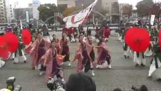 kagura 2014 四日市よさこい祭り やったろ舞 市民公園会場 稜威～彌榮～