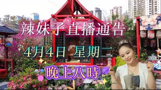 四川辣妹子好運來頻道~直播通告~4月4日 星期二 晚上八時 ~分享新歌 (酒後想你更寂寞)~歌詞版