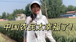 中國農民家家都有地，種地還不用自己動手，巴鐵媳婦：太牛了！