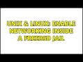 Unix & Linux: enable networking inside a freebsd jail (2 Solutions!!)