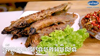 របៀបចំអិន ត្រីឆ្លូញសមុទ្រ | Cooking Show