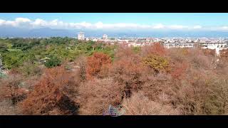 Color of Nature | 宜蘭落羽松秘境 | 空拍素材~Aerowings空翔之翼