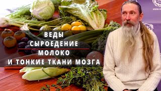 Видовое Питание Сыроедение. Зачем молоко. Для чего тонкие ткани. Трехлебов А. В.