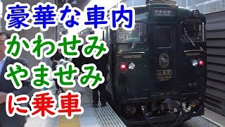 豪華な車内のかわせみやませみに乗車【迷列車探訪昭和駅から平成駅を目指す旅25】