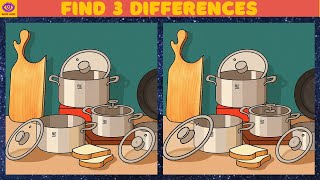 [Find the Difference] Puzzle Game - Part 451