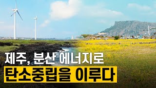 [핫클립] 신재생 에너지로 탄소중립을 꿈꾸는 제주도 / YTN 사이언스