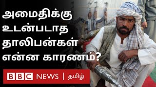 Afghan நாட்டை ரத்த பூமியாக்கும் Taliban: என்னதான் பிரச்சனை? | Al-Qaeda |