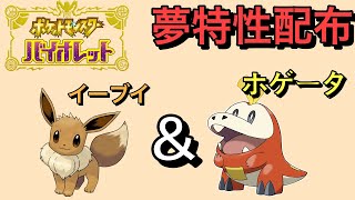 【ポケモンSV】４V以上確定！夢特性イーブイ\u0026ホゲータ配布配信！＃ポケモンSV