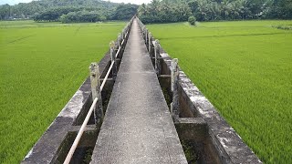 എന്റെ ഗ്രാമം #Palakkad #vandazhy #pullampadam