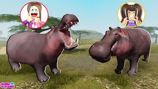 VIRAMOS VÁRIOS HIPOPÓTAMOS no ROBLOX!! 🦛🦛