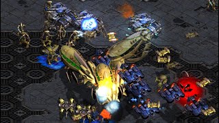 DAY 62 FUSS! Flash! Stork! Terror! Scan! Effort! Mini! FFA! Monobattles! More! - StarCraft - 2024