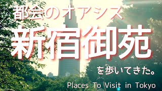 【バックスリーの東京エモ散歩】都会のオアシス新宿御苑を歩いてきた。 Places to visit in Tokyo / Shinjuku Gyoen