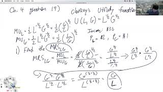Consumer Optimization Problem