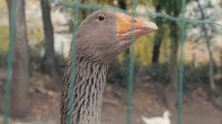 Parco San Floriano