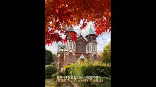 聖ヨハネ教会堂と美しい紅葉の樹々【博物館 明治村】2024年11月30日(土)